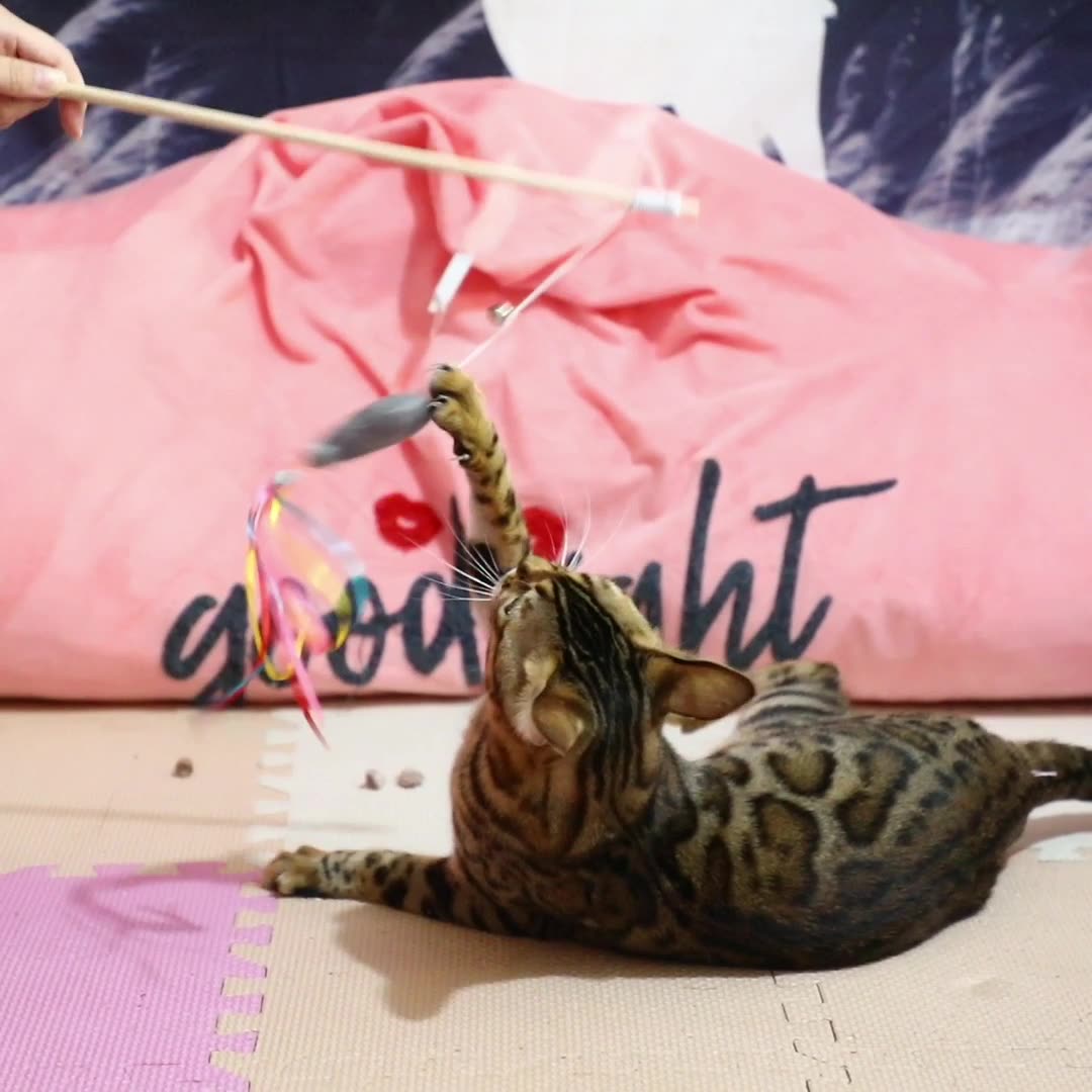 Cat Wand Toys Interactive With Catnip Fish Colorful Ribbons Bell