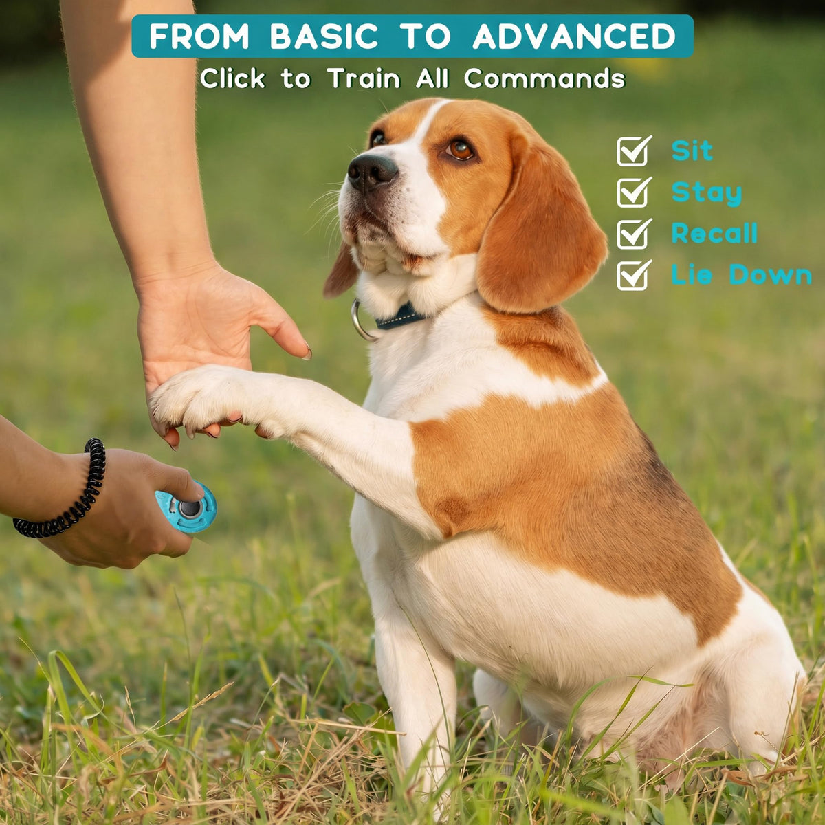 Dog Training Clicker With Sring Wrist And Keyring Pet Clickers For