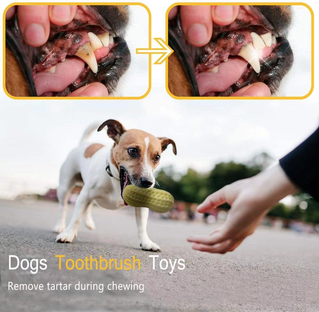 Funny Pet Dog Squeaky Toys For Small Middle Dogs Bite Resistant