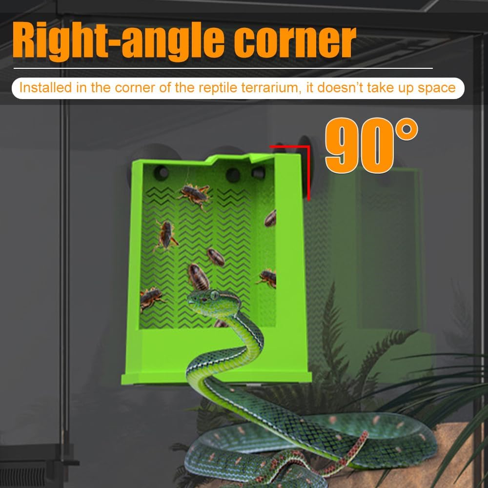 Bearded Dragon Feeder Corner Reptile Box Wall-mounted Terrarium
