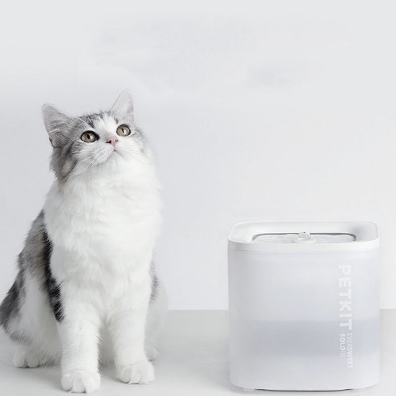 Smart Pet Water Dispenser Wireless Loop Filter Pet Bowl