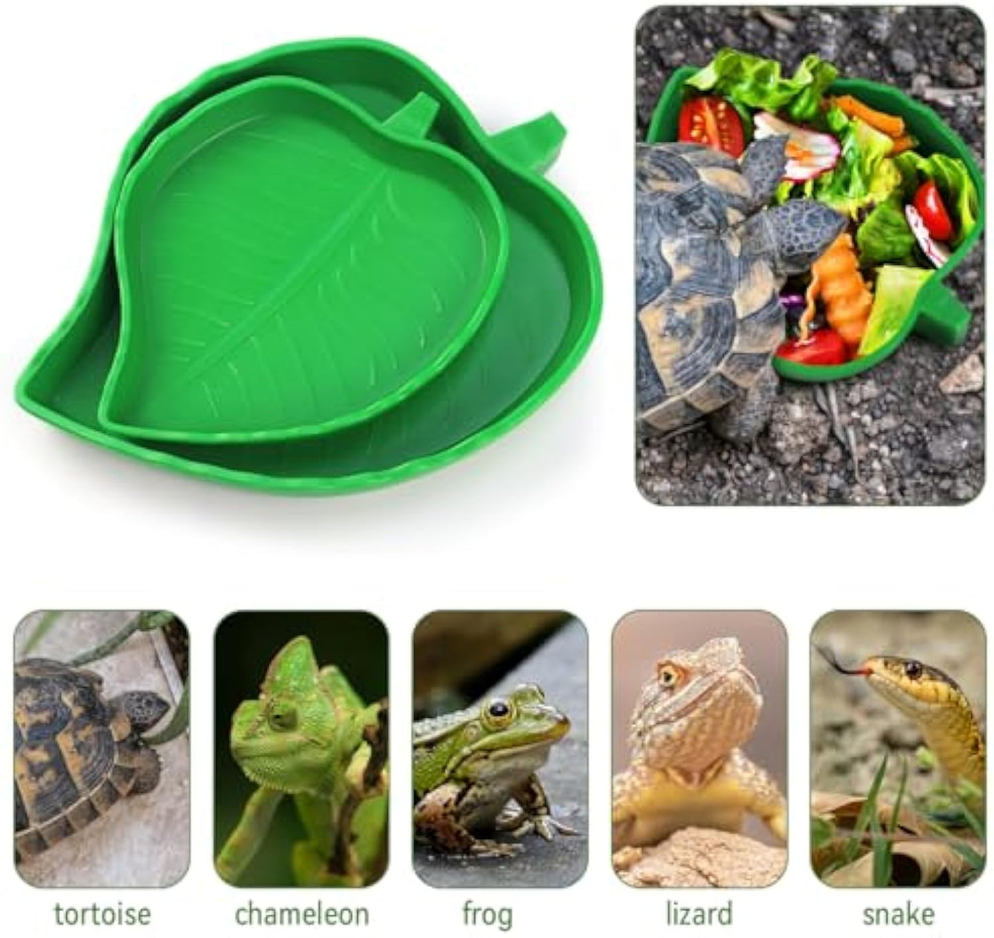 2 Pcs Leaf Reptile Food Water Bowl Plate Dish For Tortoise Lizards