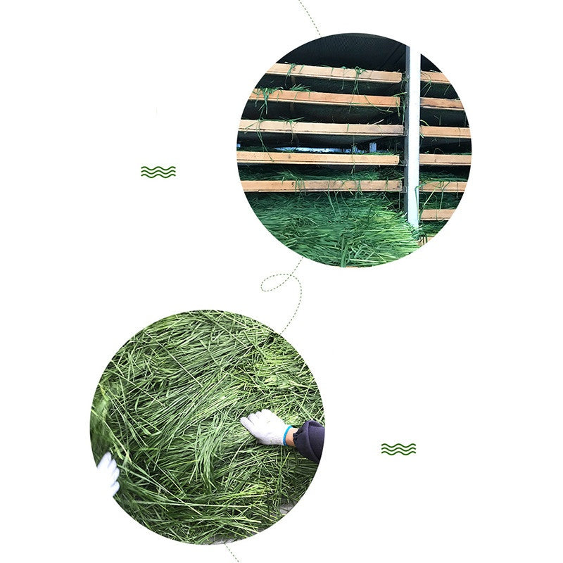 Dried Timothy Fcl Hay Snacks Feed Chinchilla Guinea Pig Food