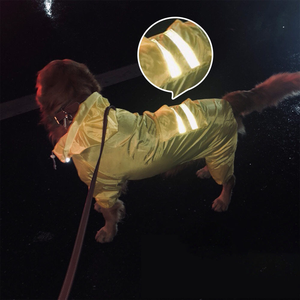 Golden Retriever Hooded Raincoat Dog Samoyed Medium