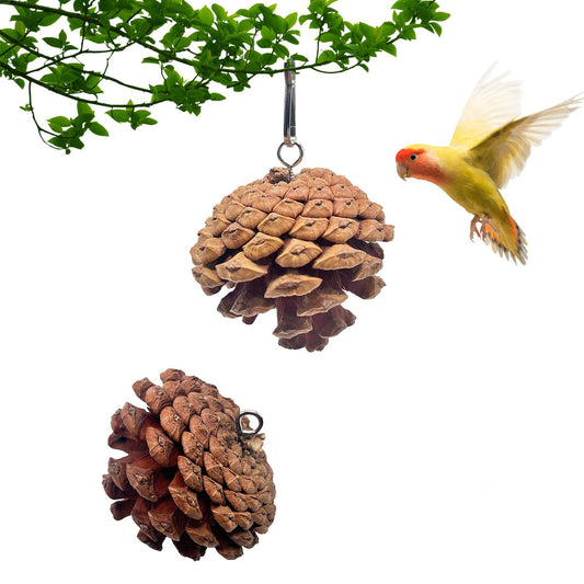 Parrot Bite Toy Can Hang With Studs Pine Cones