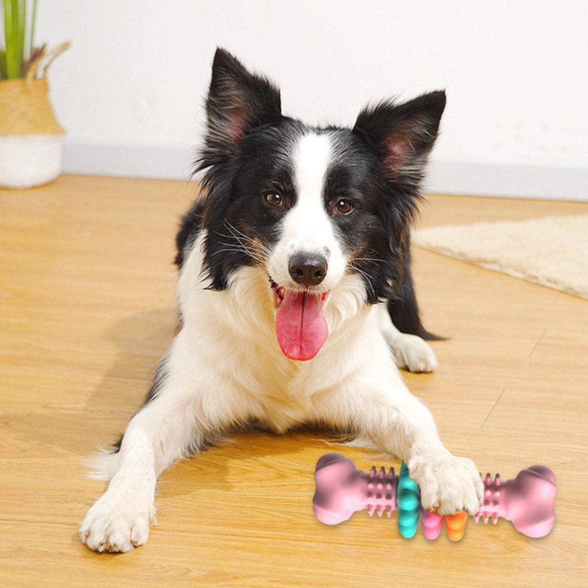 Dog Chew Toy Bone Type Dogs Teeth Cleaning Toys Indestructible Tpr
