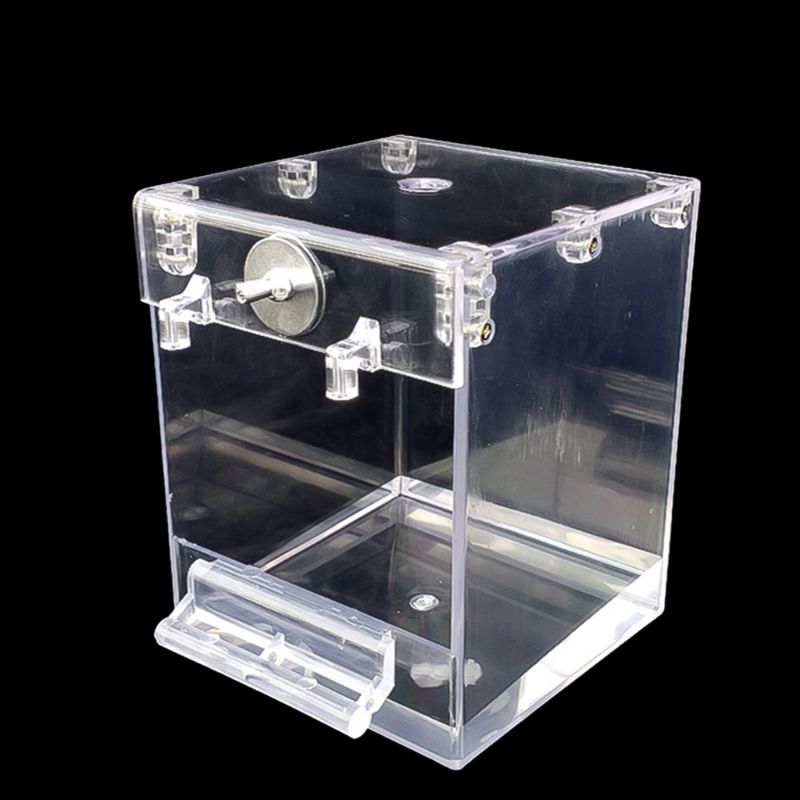 External Bird Bath Transparent Square Basin Supplies Pet