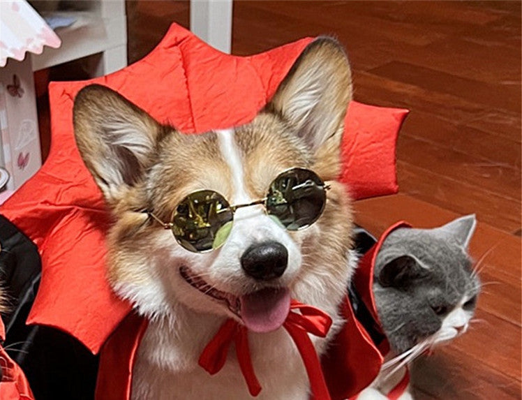 Halloween Pet Costumepet Cape Vampire King
