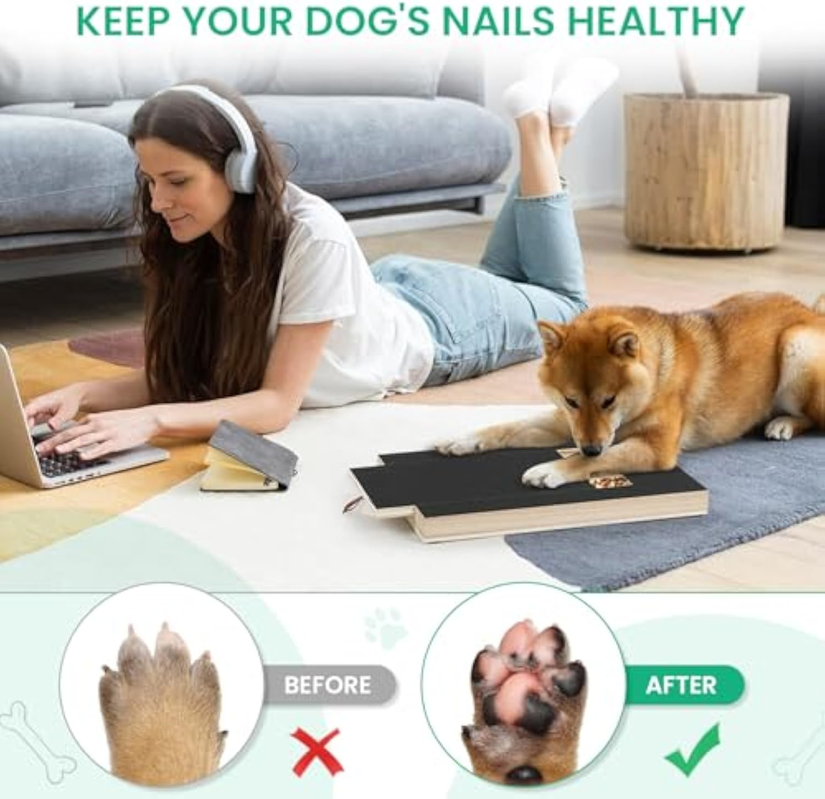 Dog Nail Scratch Board File Grinder Pad For Nails With Treat Box