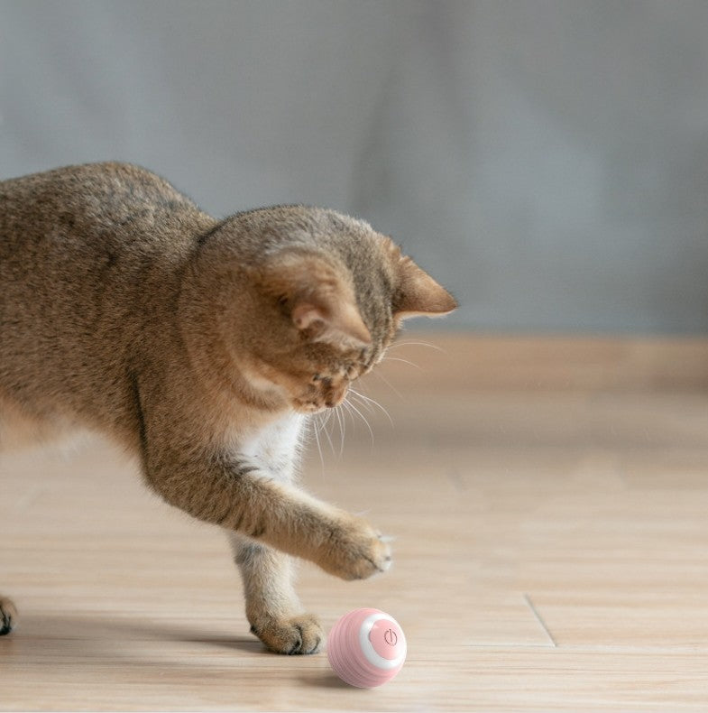 Automatic Moving Bouncing Rolling Ball Smart Cat Toy Self-moving