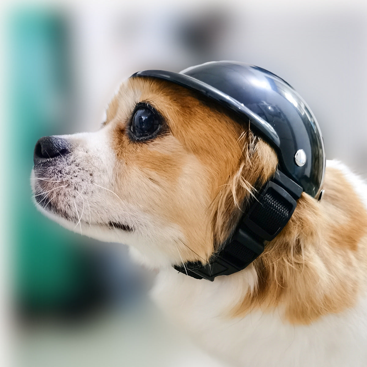 Pet Helmet New Motorcycle Dog Cat Accessories Pet Toy Hat Headwear