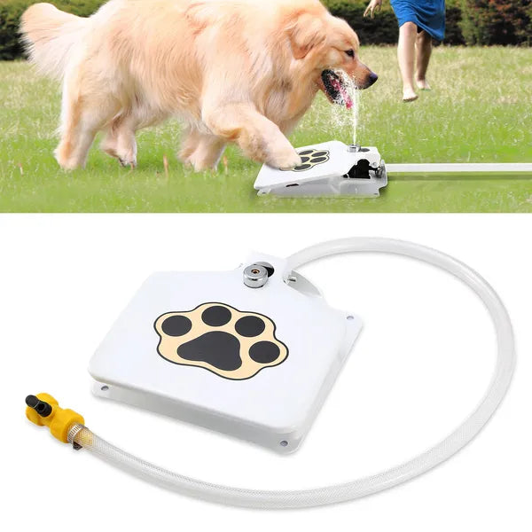 Step-On Outdoor Dog Water Fountain and Sprinkler