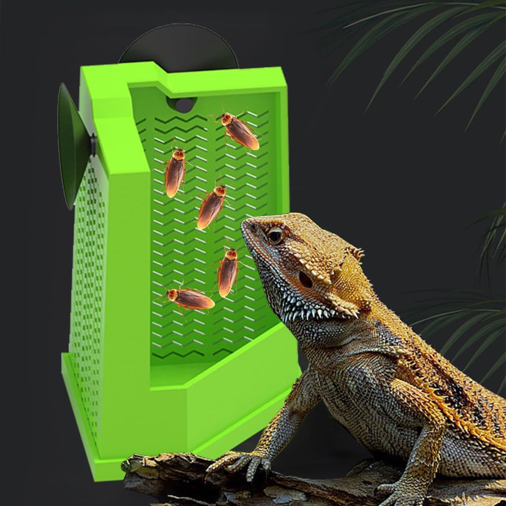 Bearded Dragon Feeder Corner Reptile Box Wall-mounted Terrarium