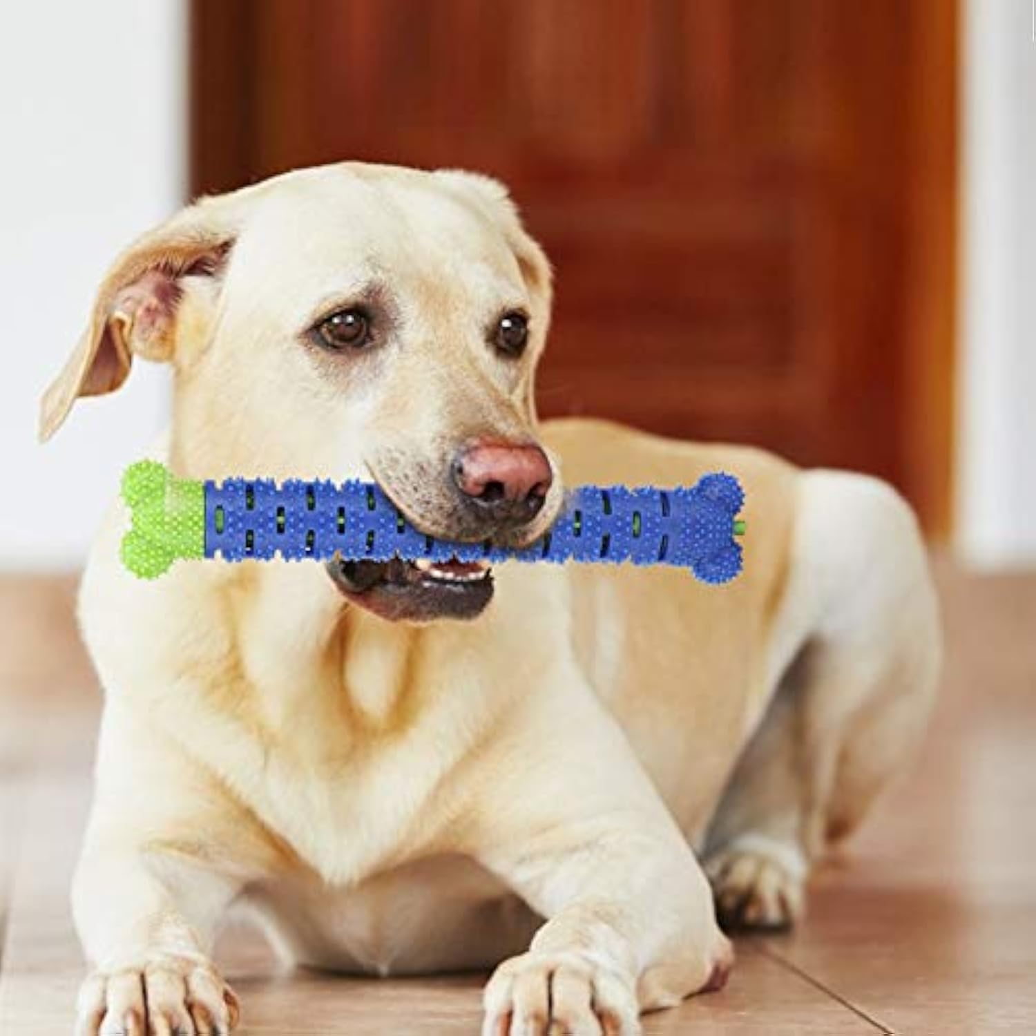 Blue Green Pet Molar Tooth Cleaner Brushing Stick Cleaning Supplies