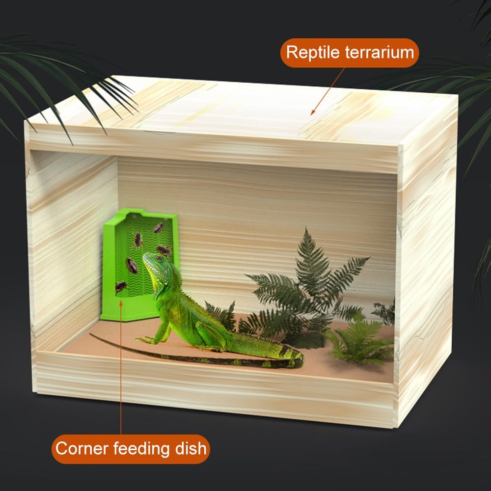 Bearded Dragon Feeder Corner Reptile Box Wall-mounted Terrarium