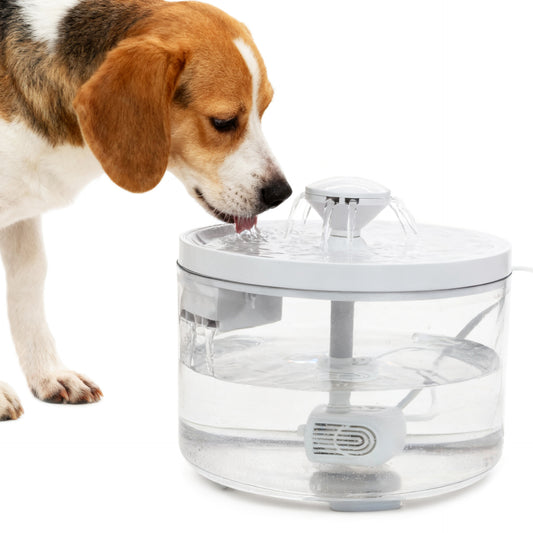 Automatic Pet Water Fountain Circulating Drinking Dispenser For