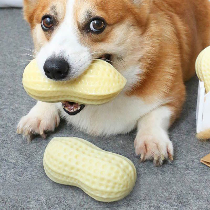 Funny Pet Dog Squeaky Toys For Small Middle Dogs Bite Resistant
