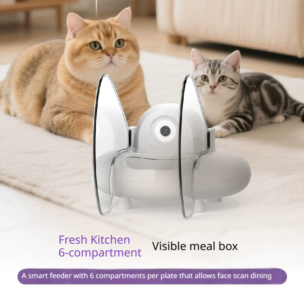Smart Cat Feeder Ai Facial Recognition Multi Cats Video Camera Gen