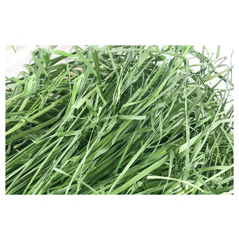 Dried Timothy Fcl Hay Snacks Feed Chinchilla Guinea Pig Food