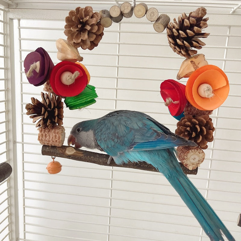 Parrot Swing Pine Nut Grinding Mouth Claw Log Bird Stand Rod Color