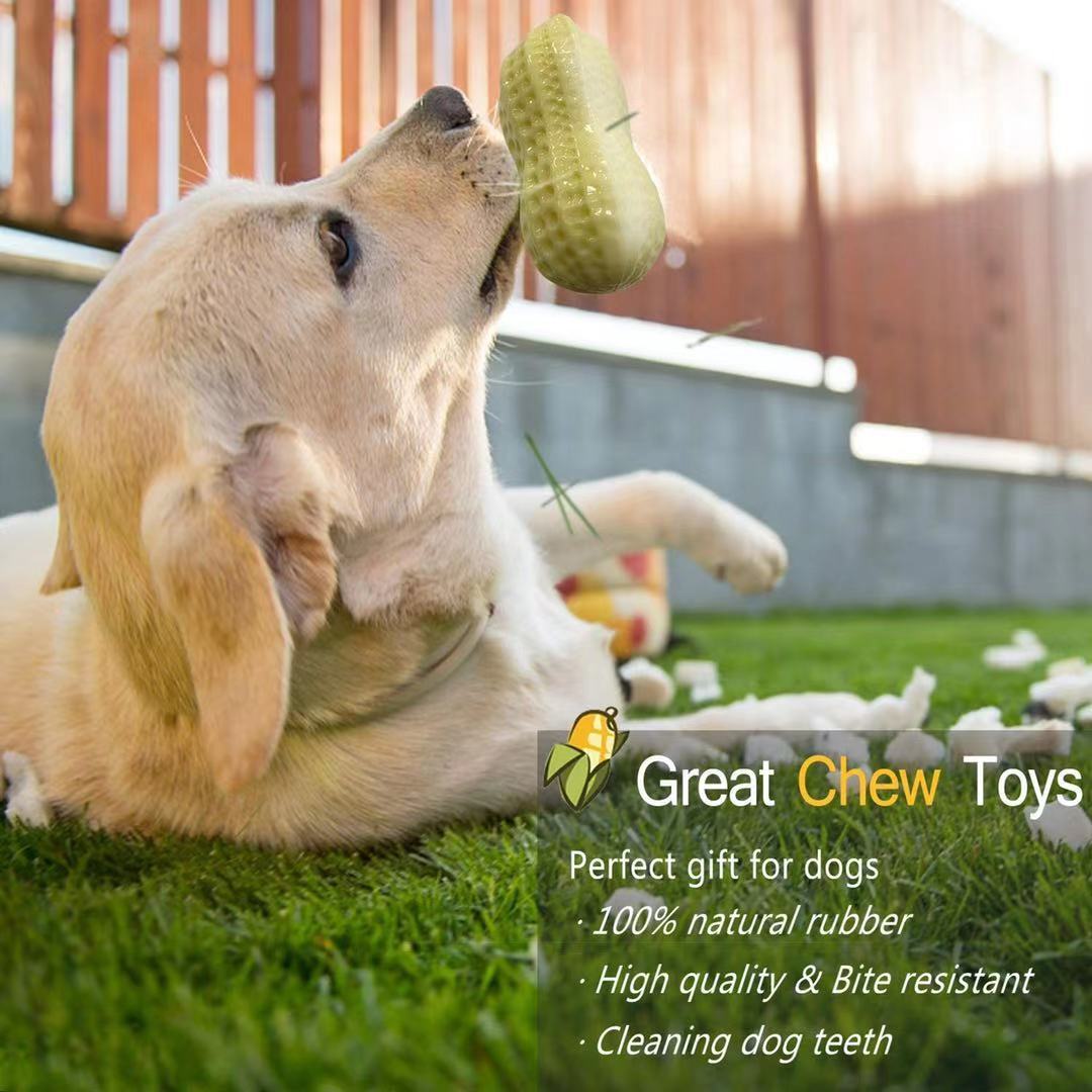 Funny Pet Dog Squeaky Toys For Small Middle Dogs Bite Resistant