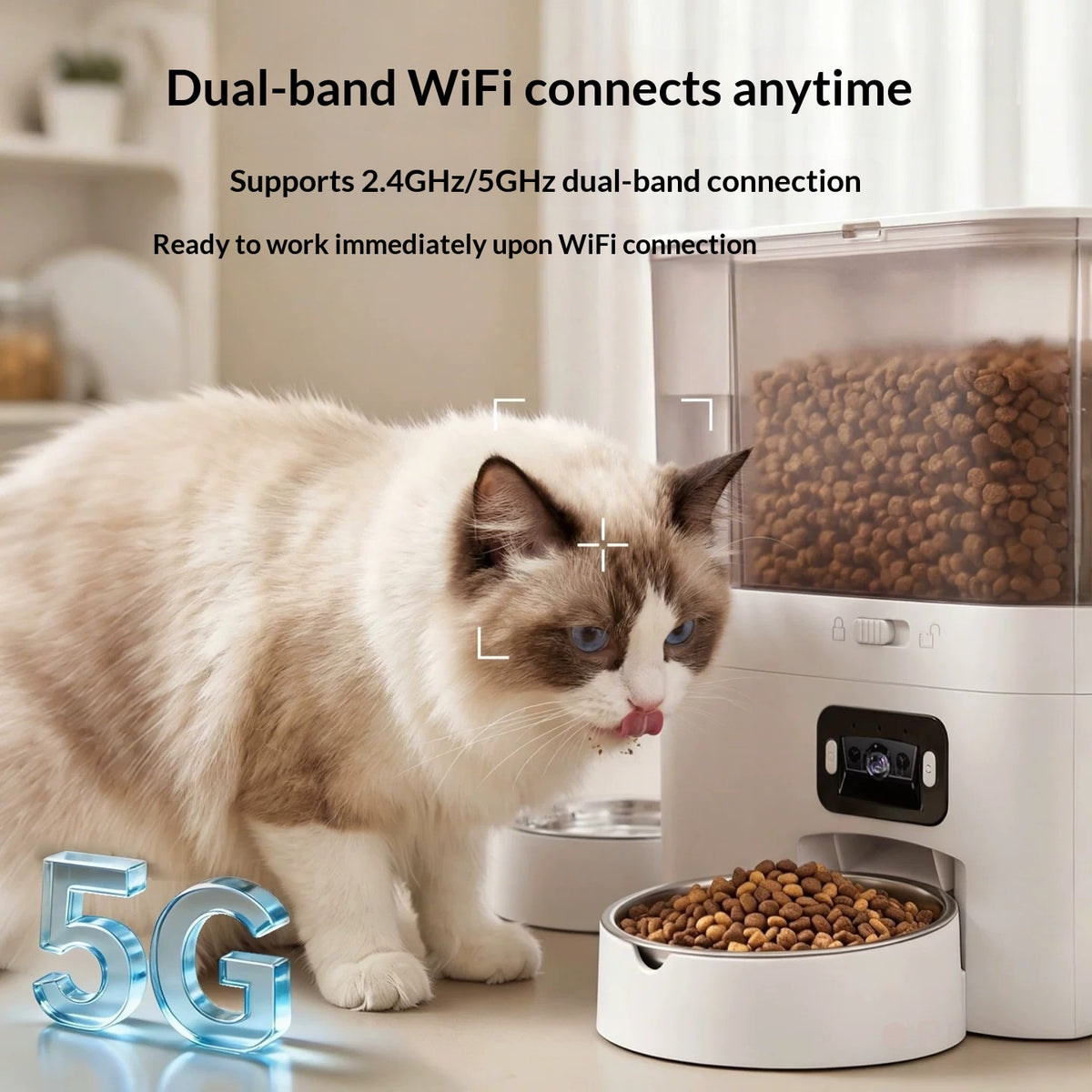 Cat Smart Water Fountain And Automatic Feeder