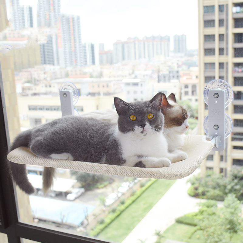 Cat Suction Cup Window Glass Hammock Pet Pets Products