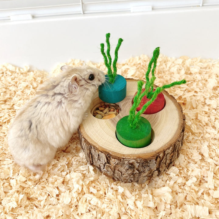 Wooden Foraging Snack Box for Rabbits and Guinea Pigs