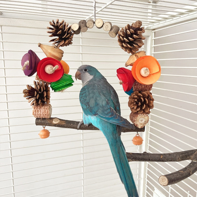 Parrot Swing Pine Nut Grinding Mouth Claw Log Bird Stand Rod Color