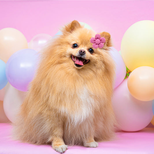 Pet Headdress Flower Spring Solid Color Dog Cat Accessories