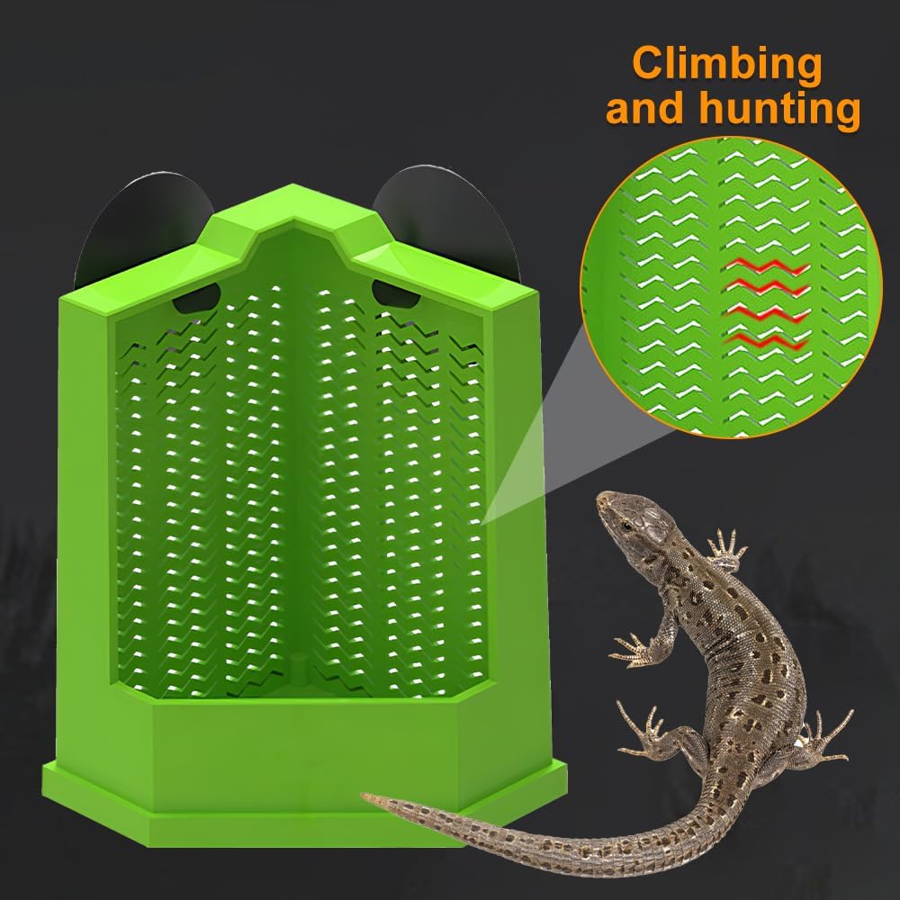 Bearded Dragon Feeder Corner Reptile Box Wall-mounted Terrarium