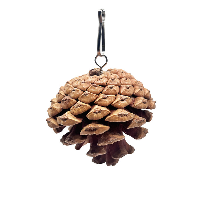 Parrot Bite Toy Can Hang With Studs Pine Cones