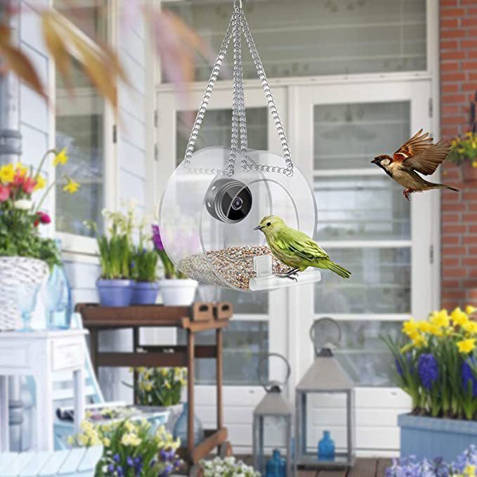 Outdoor Smart Feeder with HD Monitoring Camera