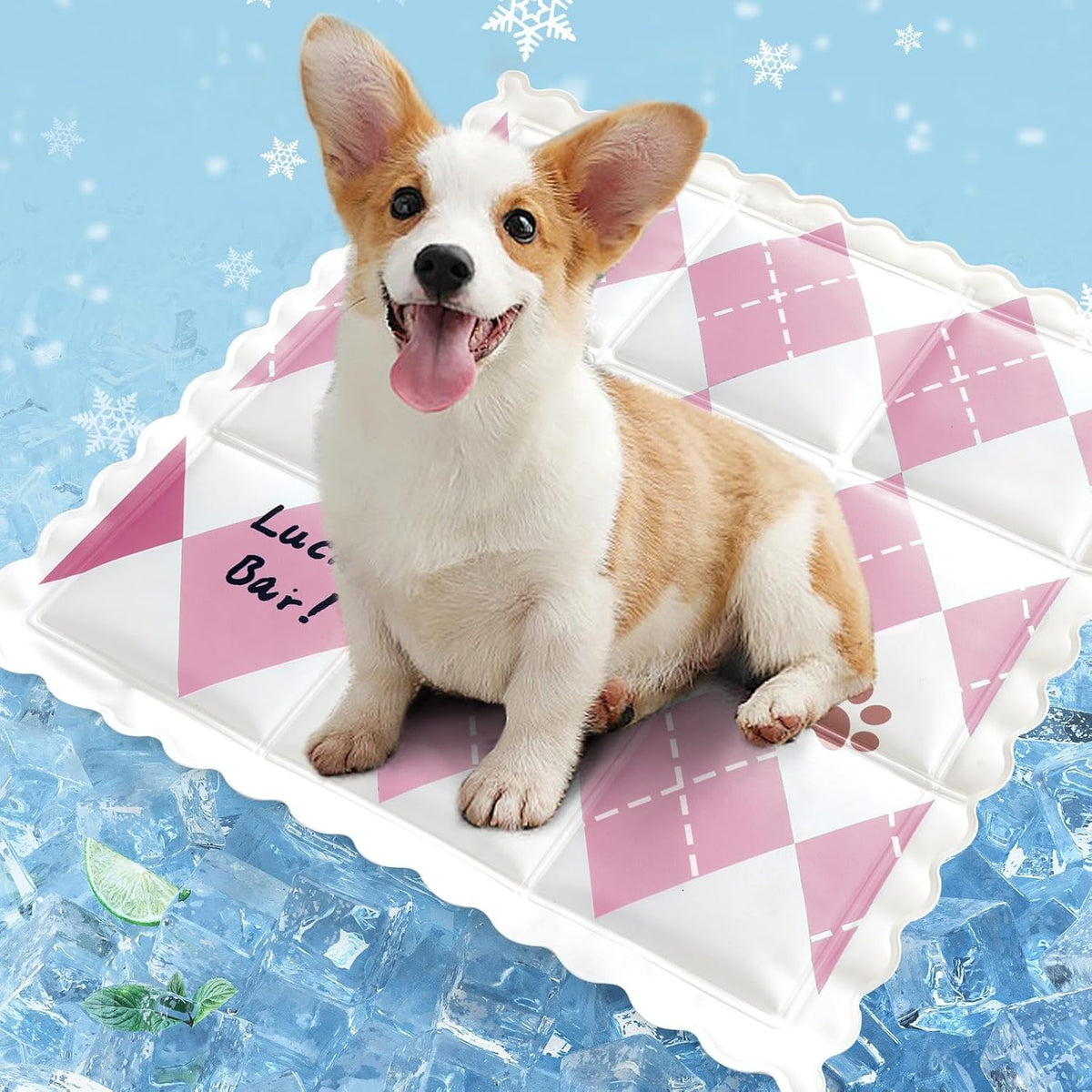 Pet Ice Pad Summer Dog House Cat Sleeping Mat And Cooling Gel Dirty
