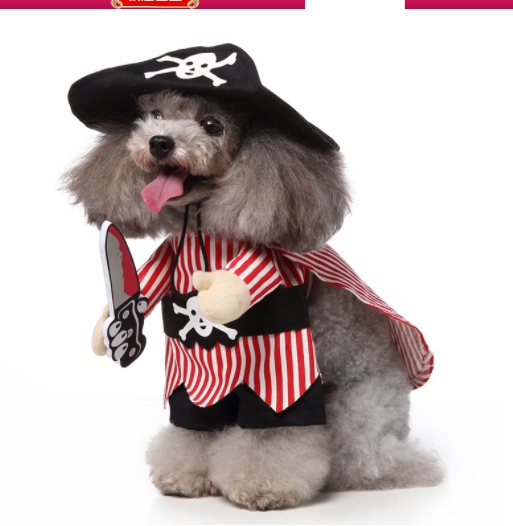 Cosplay Pet Supplies Standing Outfit Funny Dog Clothes Upright