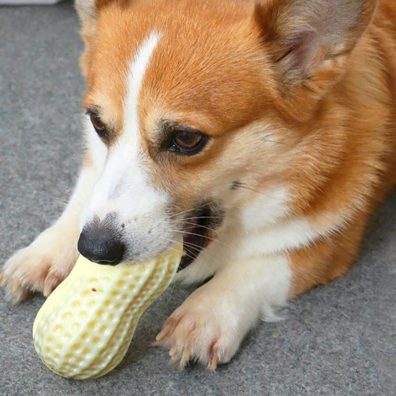 Funny Pet Dog Squeaky Toys For Small Middle Dogs Bite Resistant