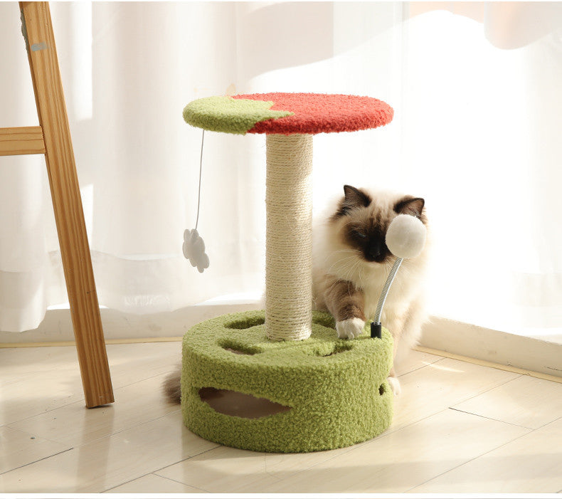 Kitten Cat Climbing Frame Small Scratching Post Sisal Board