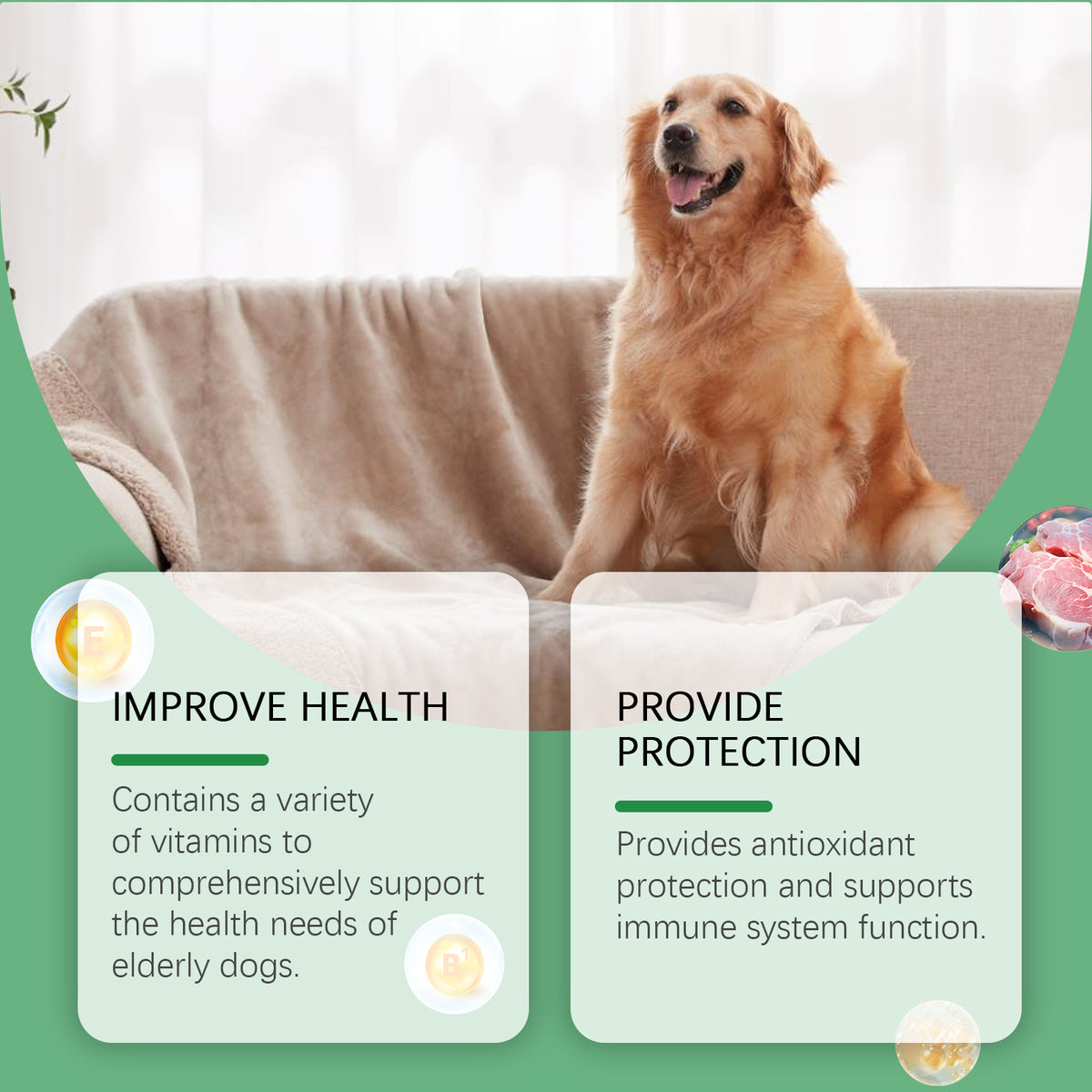 Senior Dog Vitamin Tablets Multivitamin Supplement For Older Dogs