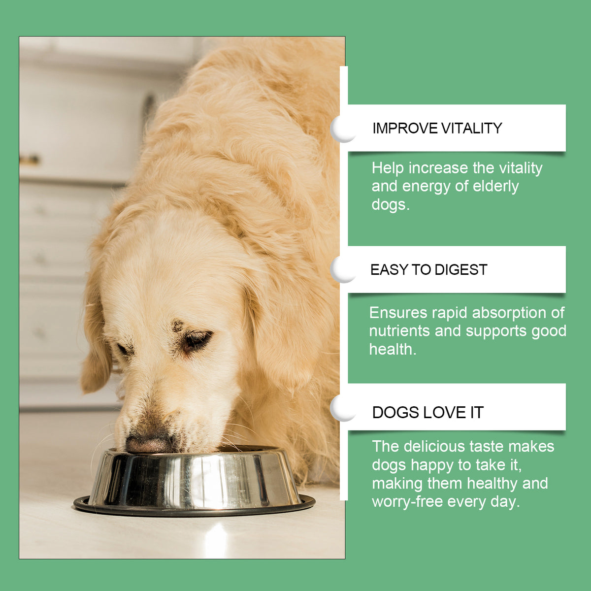 Senior Dog Vitamin Tablets Multivitamin Supplement For Older Dogs