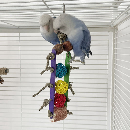 Creative Parrot Corn Cob Bite String Wooden Toy