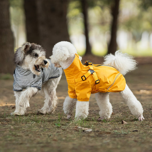 Chest And Back Raincoat Two Legs Waterproof Teddy Medium And Small