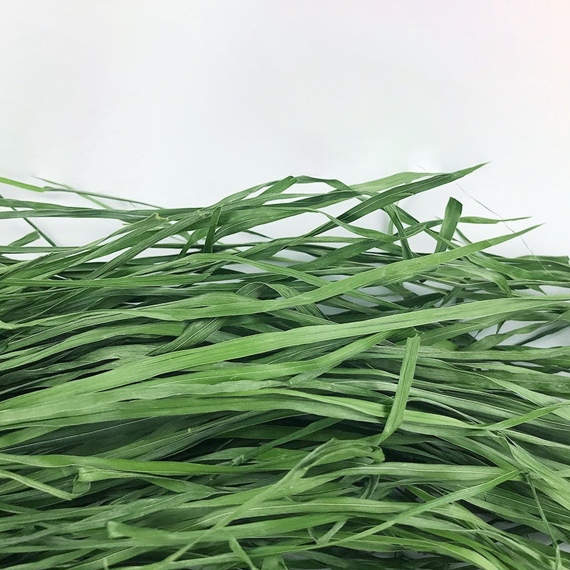 Dried Timothy Fcl Hay Snacks Feed Chinchilla Guinea Pig Food