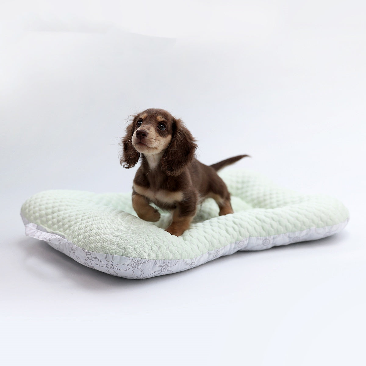 Pet Ice Mat Cooling Non-stick And Hair-resistant Pet Bed