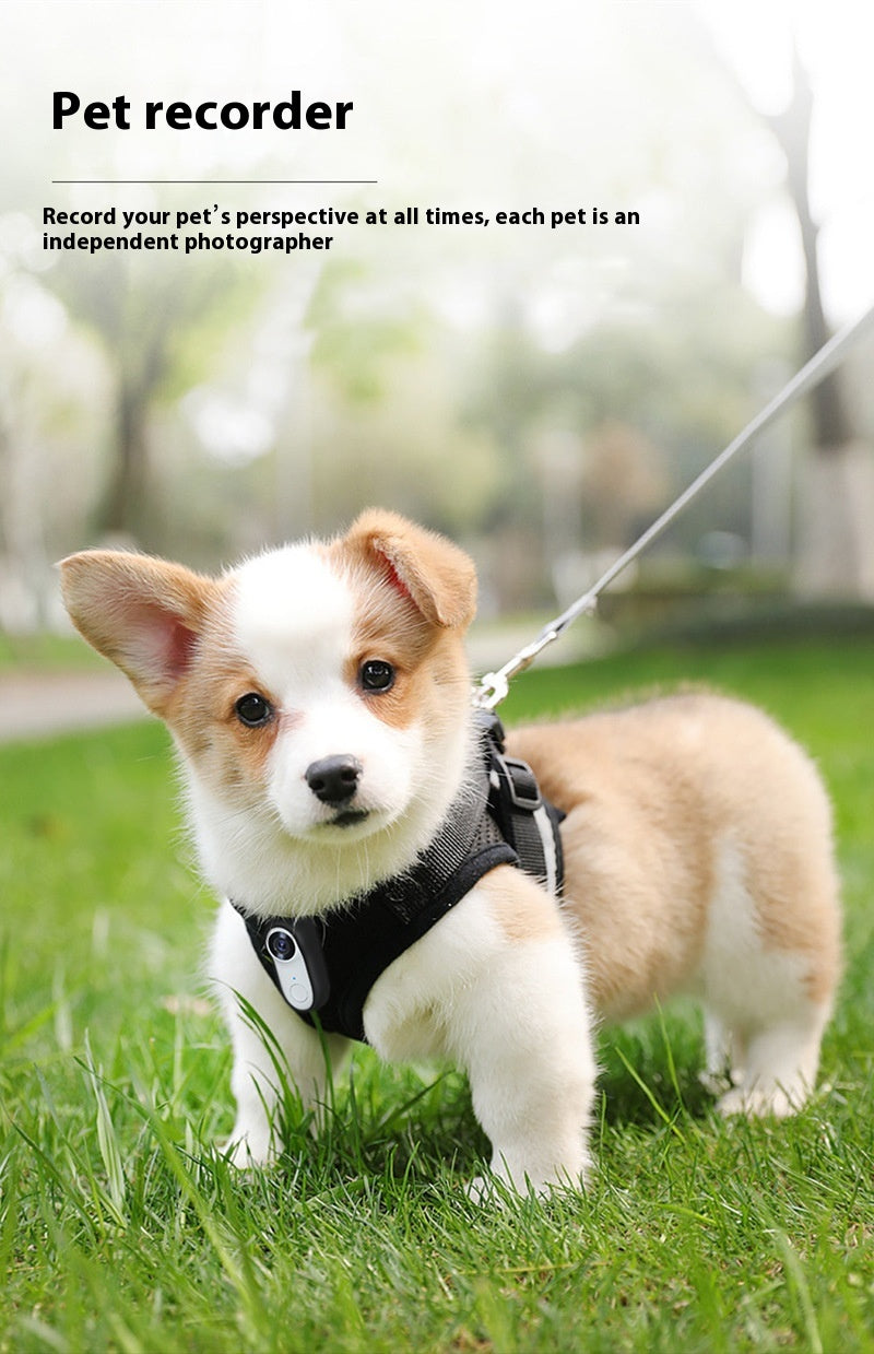 Hd Pet Thumb Camera Outdoor Sports Magnetic Mini