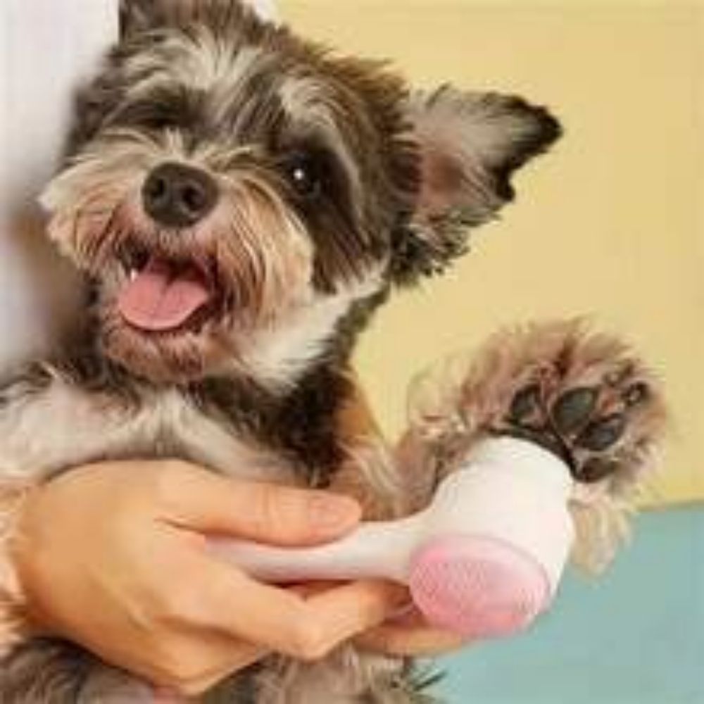 Easy Clean Nylon Pet Paw Brush Gentle Grooming And Massage Tool For