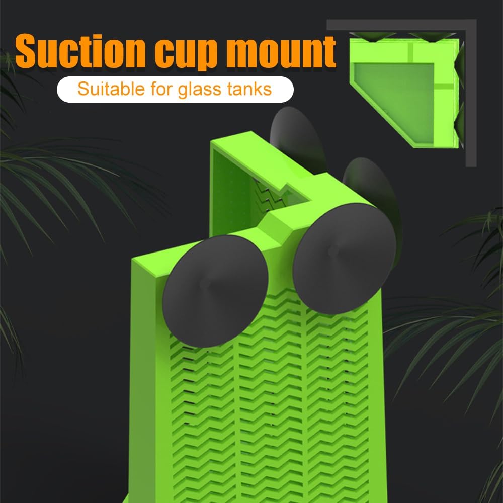 Bearded Dragon Feeder Corner Reptile Box Wall-mounted Terrarium