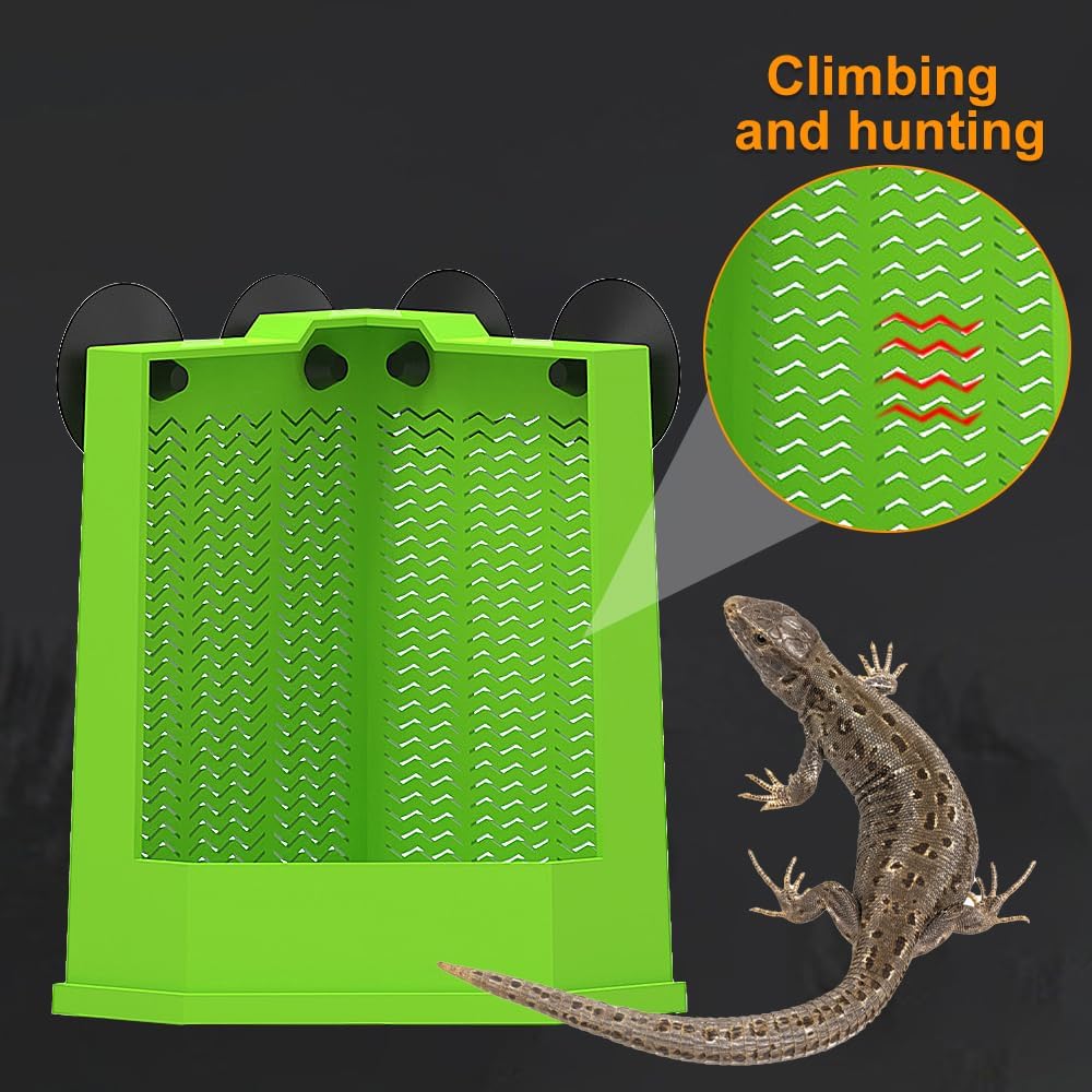 Bearded Dragon Feeder Corner Reptile Box Wall-mounted Terrarium