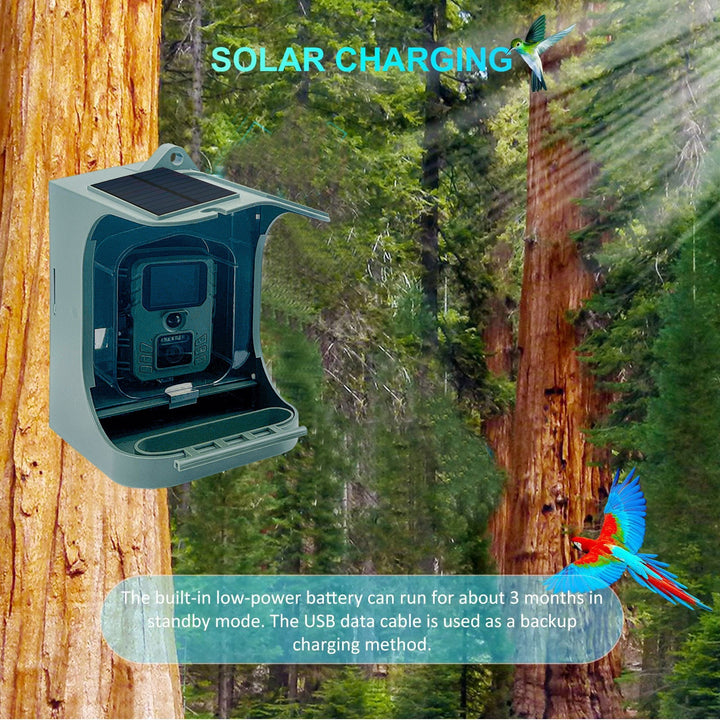 Wireless Outdoor Bird Feeder with Infrared Camera