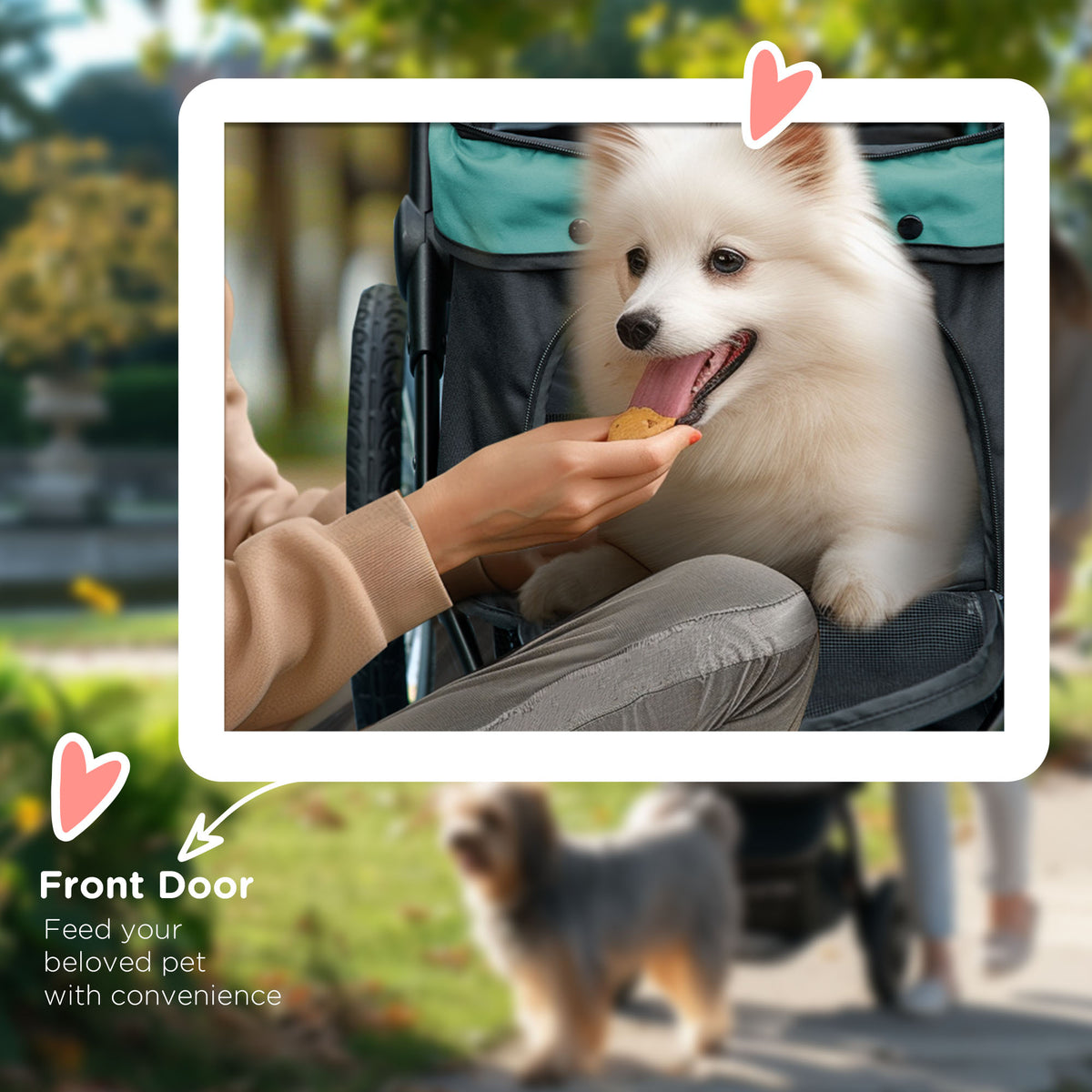 3 Wheels Pet Stroller For Small Dogs And Medium With Adjustable