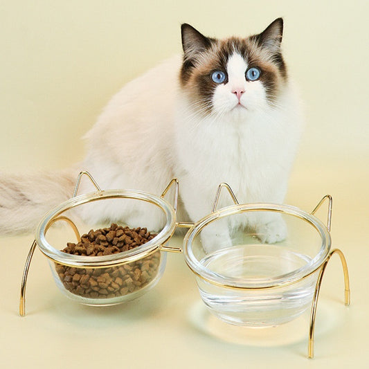 Glass Cat Bowl Drinking Dish Feeder For Pet Food Water Dishes With